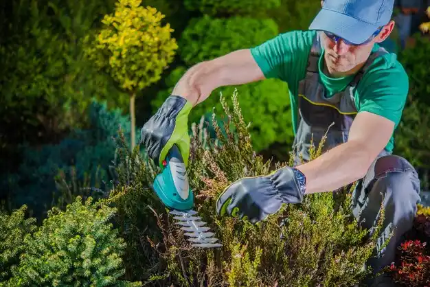 landscaping services Bawcomville